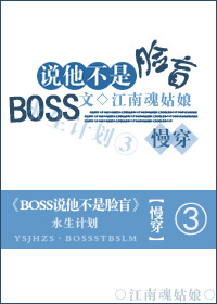 BOSS˵äߣϻVIPᣩTXT